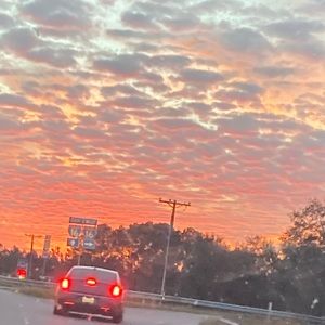 Meet your Posher, Caelyn